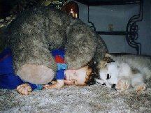 ALASKAN MALAMUTE PUPPIES 12