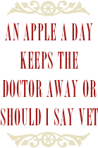 ￼
an apple a day keeps the doctor away or should I say vet 
￼