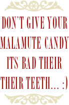￼
Don’t give your malamute candy its bad their their teeth... :)
￼